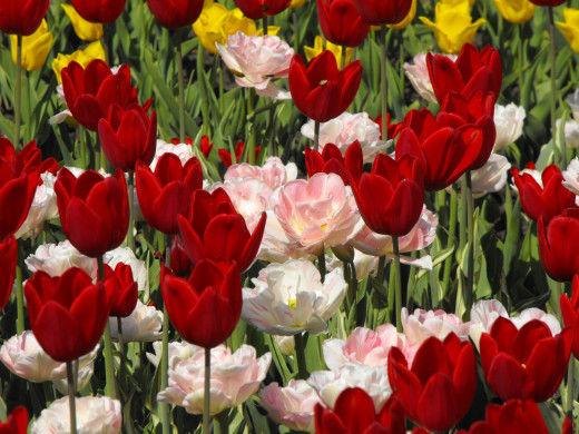 428141 (a): :1600x1200